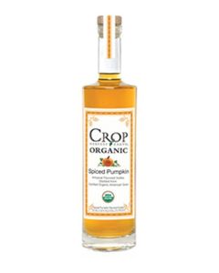 CROP SPIC PUMPKIN - 2362B