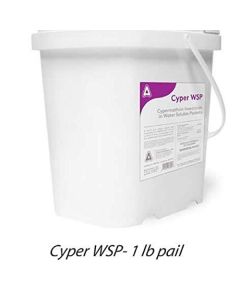 IVANABITCH RED BERRY - 4934B